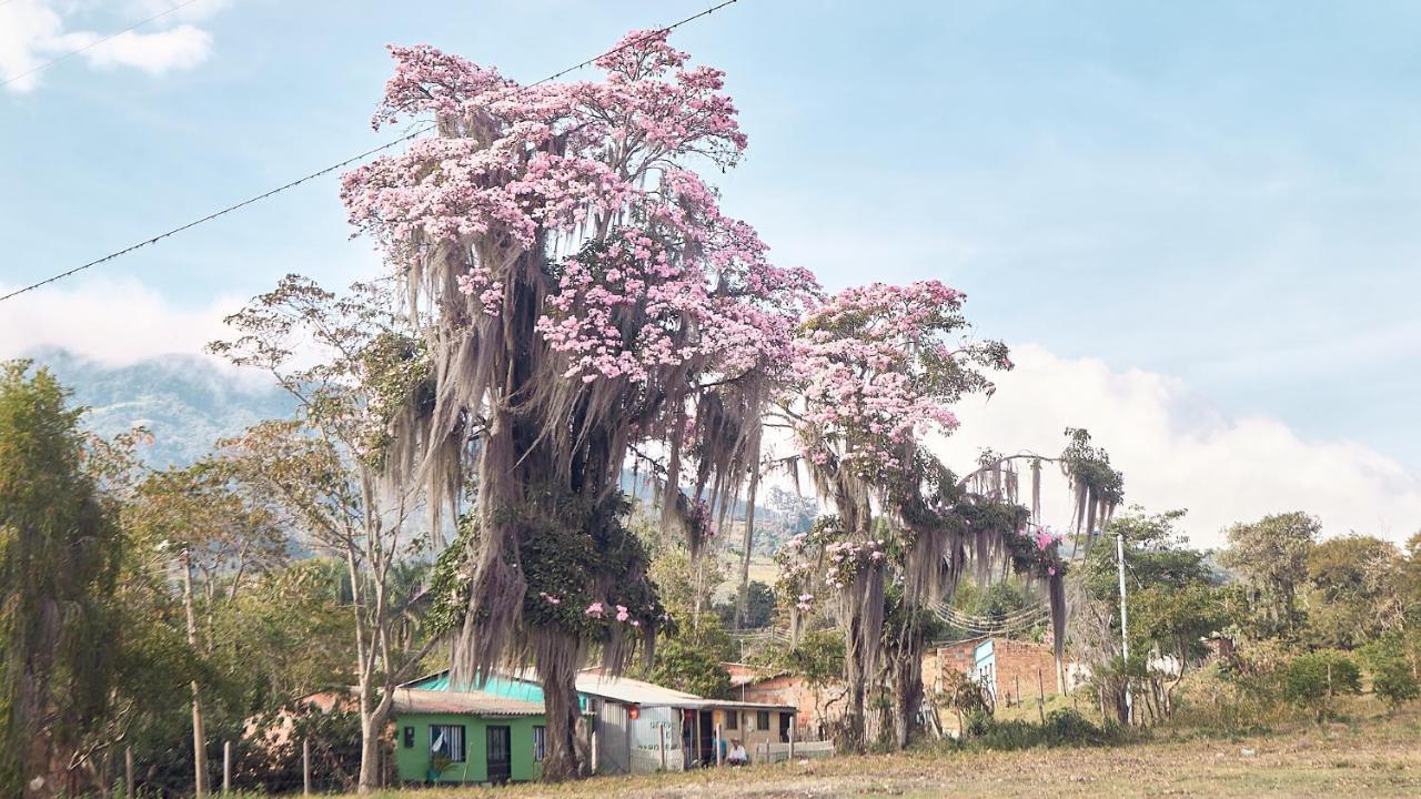 فيلا Macua Chipata المظهر الخارجي الصورة