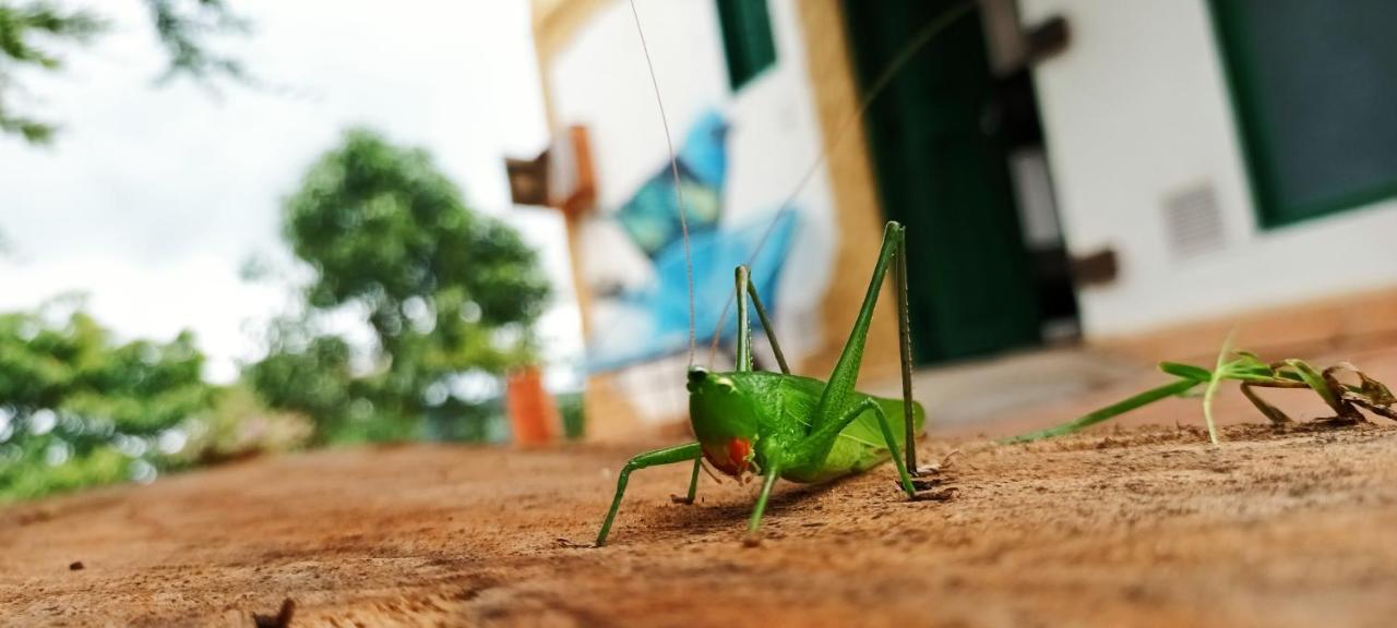 فيلا Macua Chipata المظهر الخارجي الصورة